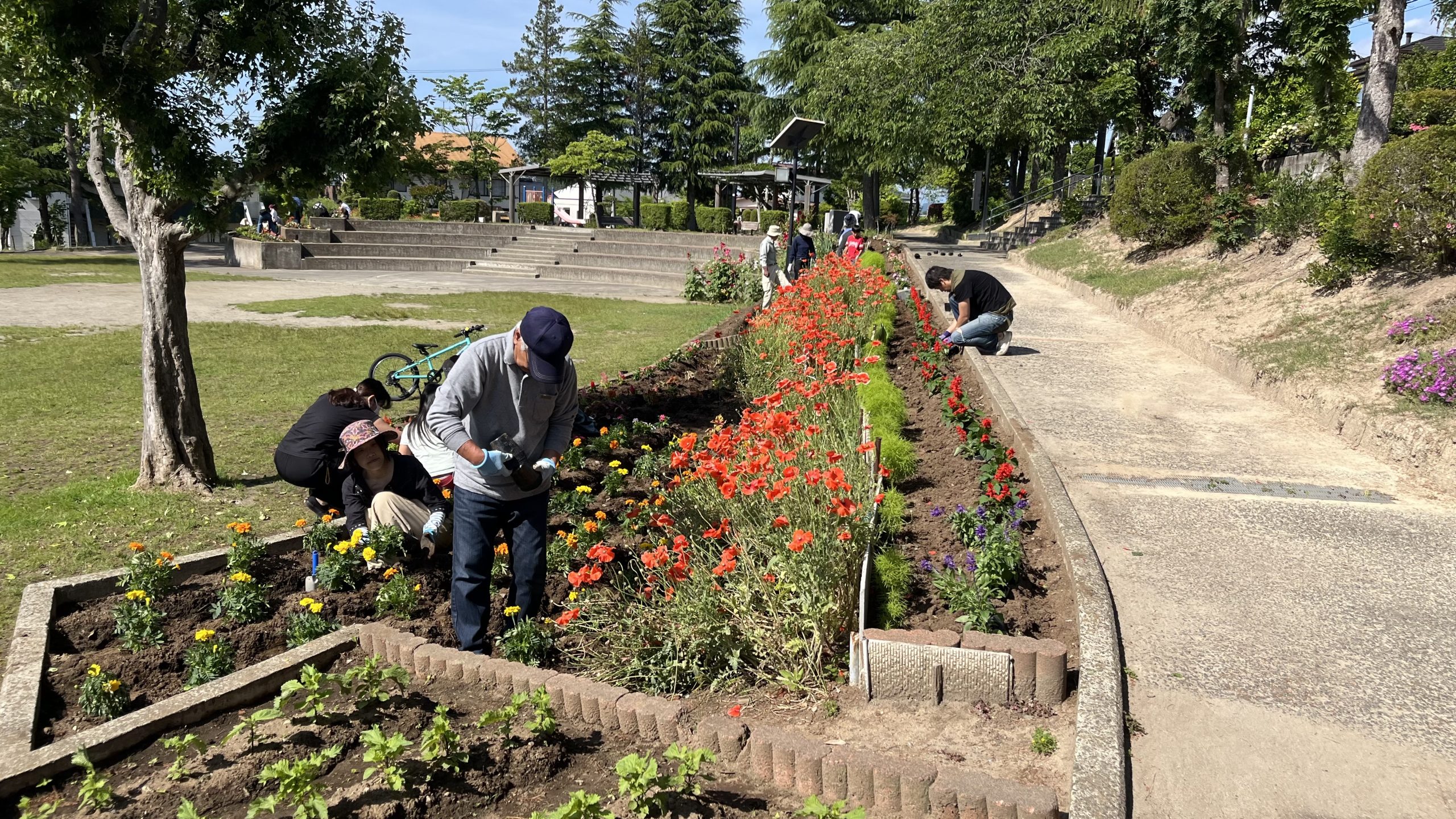 R6.6.9 花苗植え実施